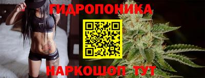 скорость Дубна