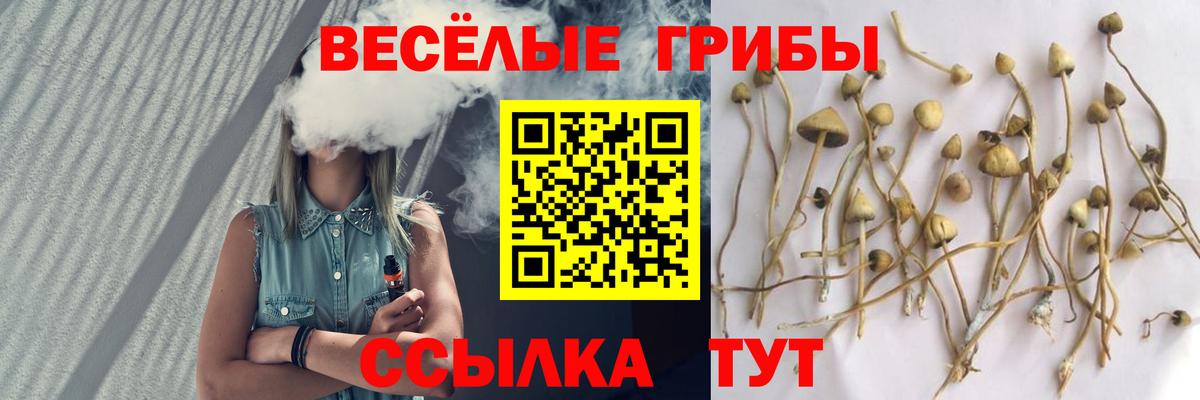 закладки  Вход с VPN  Муром  Псилоцибиновые грибы Psilocybine cubensis 